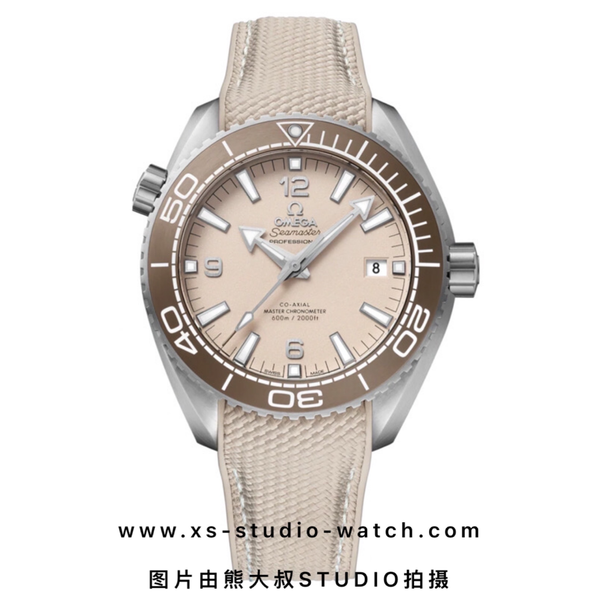 欧米茄 OMEGA SEAMASTER PLANET OCEAN 海马600M系列潜水表 低饱和度摩卡盘 浅咖圈