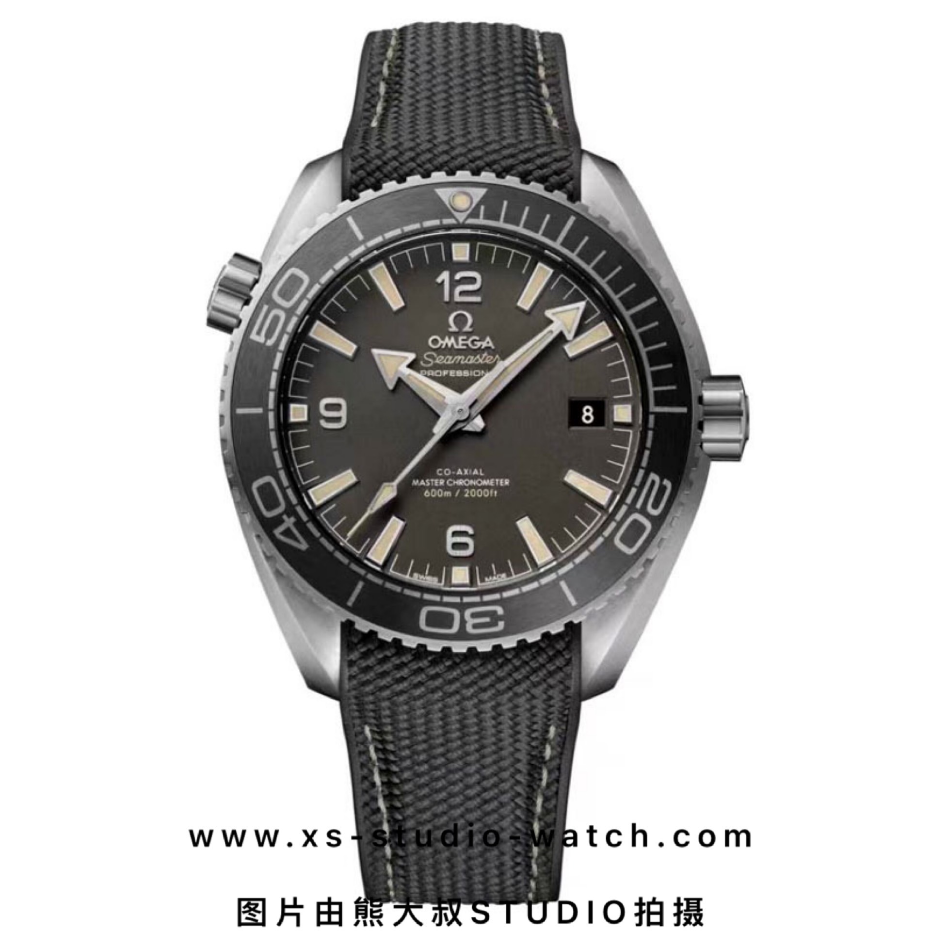 欧米茄 OMEGA SEAMASTER PLANET OCEAN 海马600M系列潜水表 黑灰盘